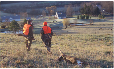 Looking for Bigger Bucks